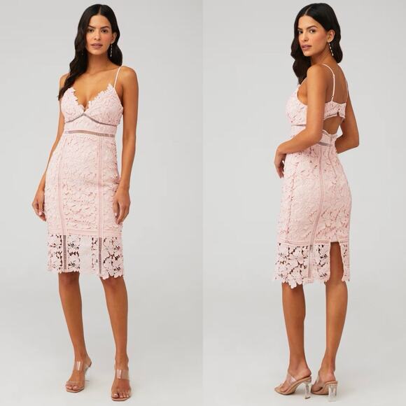 Bardot Dresses & Skirts - Bardot Botanica Lace Dress Womens Size 6 Pink Sleeveless Sheath Dress Wedding